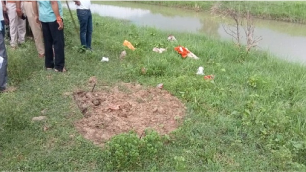 A dog s body was found while digging a grave