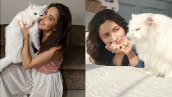 5 Bollywood Actresses Loves Cats