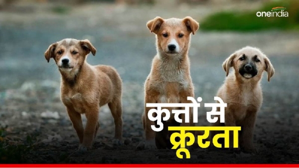 Attempt to throw dogs into river Satna