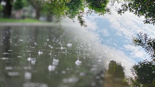 Bihar Weather News Today Pradesh me barish bani aafat padhiye aaj ka mausam samachar