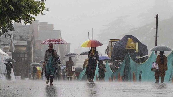 Himachal rains