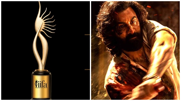 iifa awards