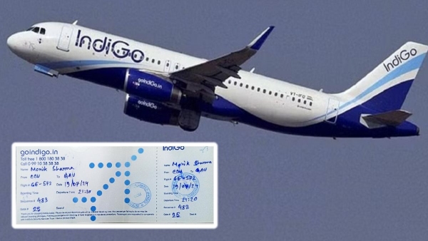 IndiGo Flight