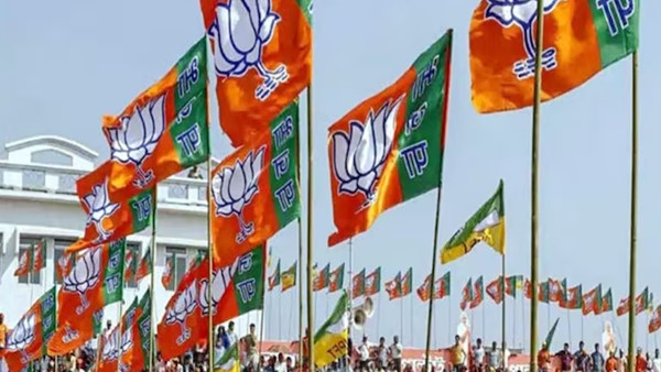 J-K Elections 2024 BJP candidates