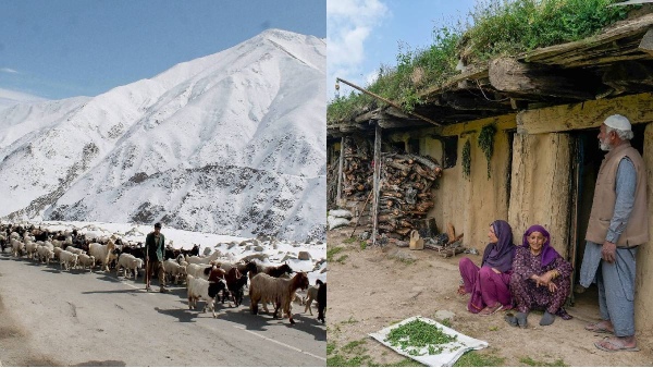 jammu kashmir st