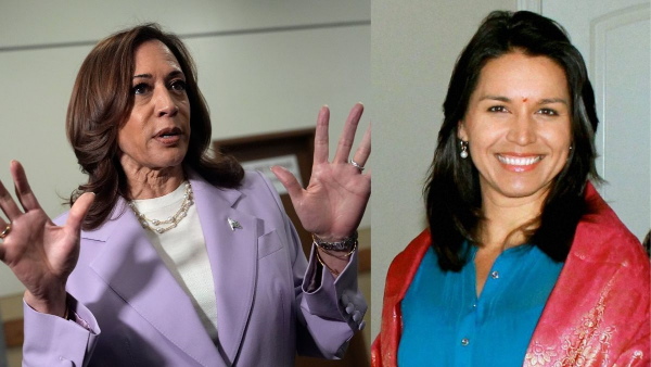 US Elections 2024 US Elections 2024