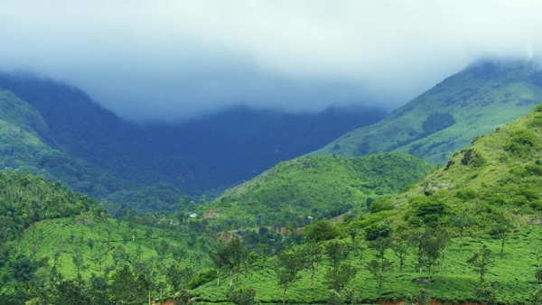 Wayanad