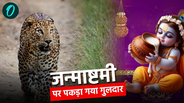 guldar killed innocent child Rakshabandhan caught on Shri Krishna Janmashtami imprisoned cage