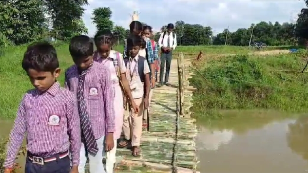 Bridge not built on Maihar river villagers donated their labour and erected a culvert made of bamboo