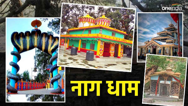 Nag Panchami 2024 Where are Nag Dhams in Uttarakhand one gets relief from Kaal Sarp Dosh here Nag Panchami 2024 Where are Nag Dhams in Uttarakhand one gets relief from Kaal Sarp Dosh here
