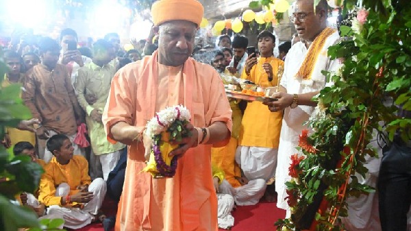 cm yogi cm yogi