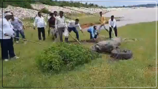 a-2-quintal-crocodile-reached-a-village-in-chandauli-panic-spread-among-the-villagers