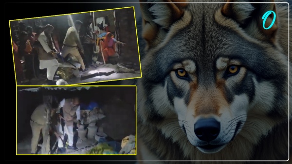 up-news-bjp-mla-came-out-with-a-rifle-to-save-the-man-eating-wolf