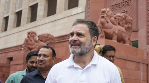 rahul gandi rahul gandi