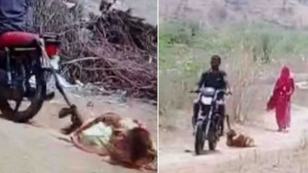 Rajasthan Nagaur Virakl Video Rajasthan Nagaur Virakl Video