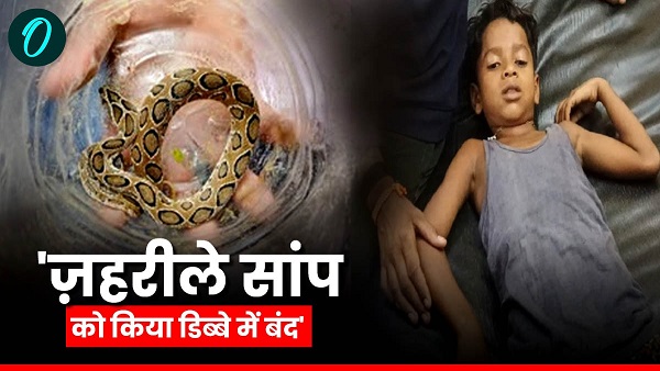 The world most poisonous snake bit the child the family took the snake to the hospital Bihar News