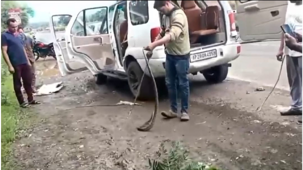 Snake found in a moving car Seoni News