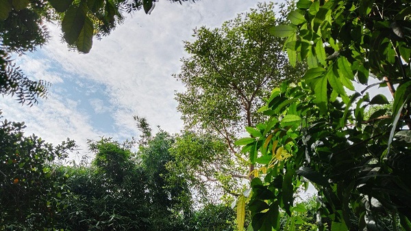 Bihar Weather News Pradesh me kab tak active rahega monsoon aaj ka mausam samachar