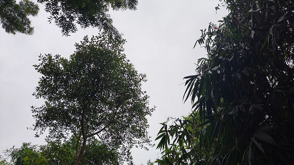 Bihar Weather News today in hindi in zilon me hogi tez barish mausam vibhag ne jari kiya alert