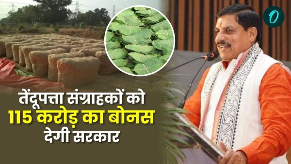 Mohan government will distribute tendupatta bonus of Rs 115 crore in August in Sheopur