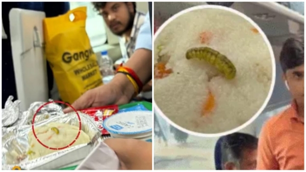 Insect found in food of Bhopal Vande Bharat Express passengers create ruckus in Jhansi