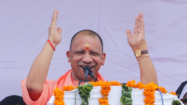 yogi