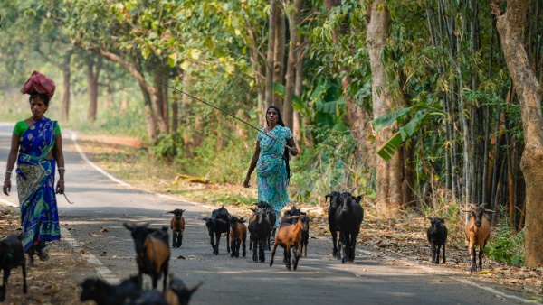 Jharkhand Bangladeshi infiltration