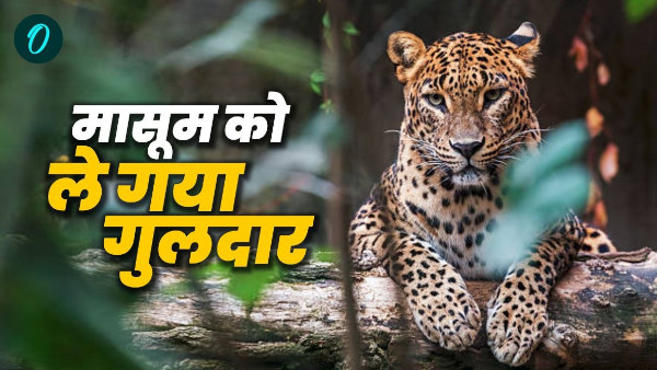 tehri guldaar three-year-old innocent child playing garden death only child of house created uproar tehri guldaar three-year-old innocent child playing garden death only child of house created uproar