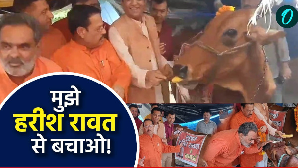 Save me from Harish Rawat by putting posters on cows Why did BJP leaders do this What is matter