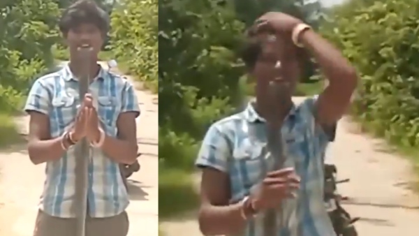 Hyderabad Cobra Viral Video