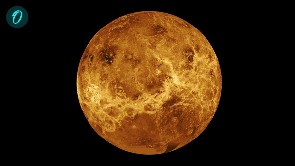 Venus Misson of India