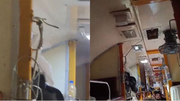 jabalpur garib rath express train snake