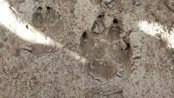 Bahraich Latest News Bahraich Latest News