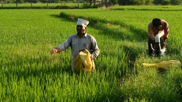 Modi govt over Fertilizer prices
