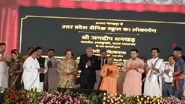 vice president