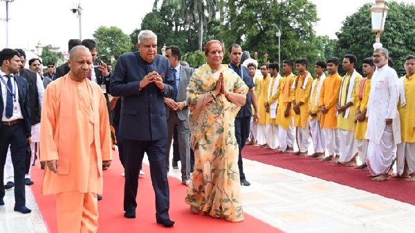vice president