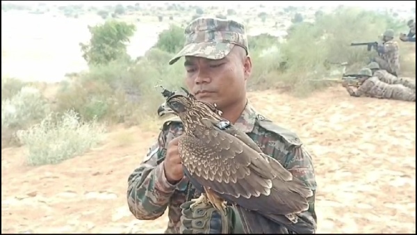 indian-armys-arjun-eagle-picture-surfaced-during-india-us-joint-military-exercise-in-bikaner