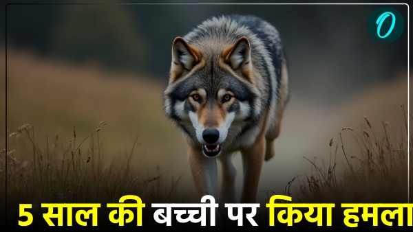 Bahraich Wolf Attack