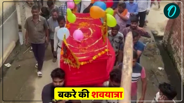 Goat Chamunda Maa in Amroha