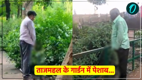tourists urinated in the Taj Mahal garden