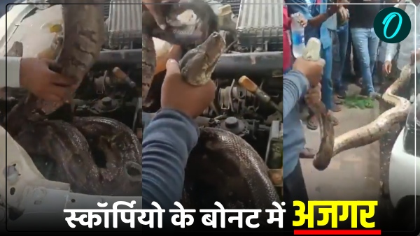 Prayagraj Civil Line mein kar Mein Mila Ajgar