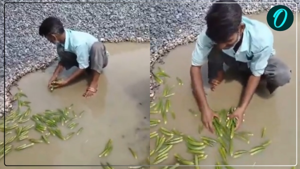 vegetables in dirty water in Kanpur