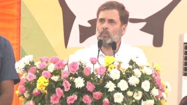 Rahul Gandhi in Jammu Kashmir
