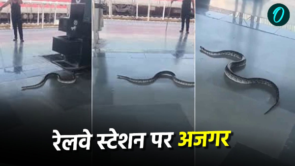 Python seen inside Rishikesh railway station created chaos rescue done like this Viral video