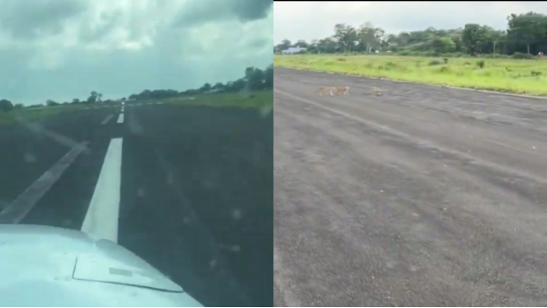 Seoni airstrip viral video