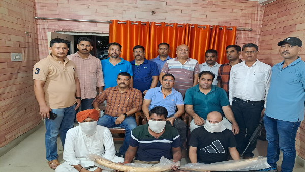 uttar pradesh Bareilly 03 interstate wildlife smugglers arrested two ivory tusks worth lakhs rupees from Bareilly UP uttar pradesh Bareilly 03 interstate wildlife smugglers arrested two ivory tusks worth lakhs rupees from Bareilly UP