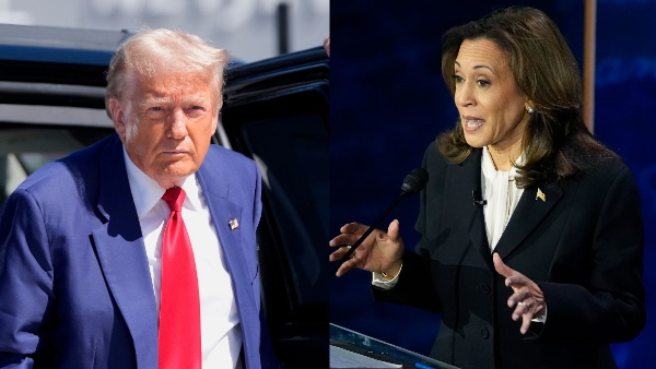 Donald Trump on Kamala Harris