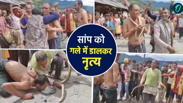 viral video uttarkashi Pandava dance going among gods 5 feet long snake appeared stunned what happened Viral video