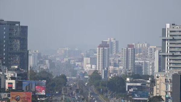 Greenpeace India Report Greenpeace India Report