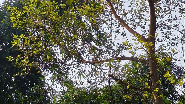 bihar me kaisa rahega mausam